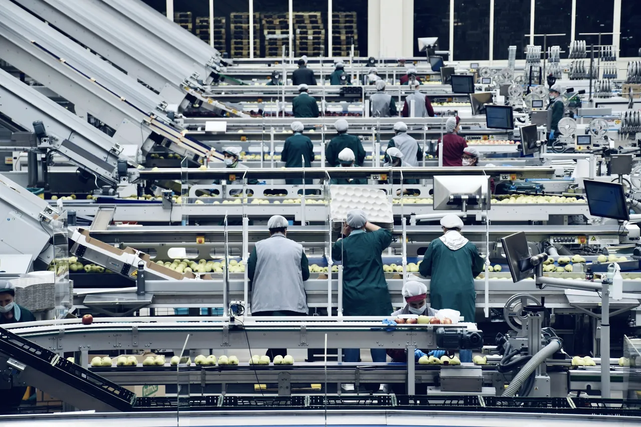 Workers in hairnets and coats at sorting lines in a food plant